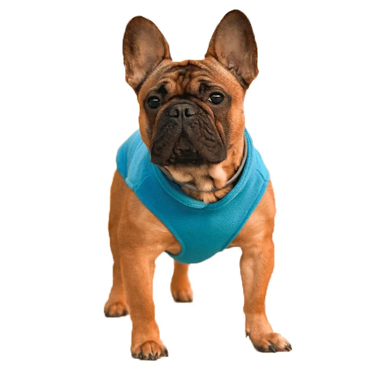 Warm Fleece Dog Jacket Vest With D-Ring | Pet Clothes For Small Dogs & Cats | French Bulldog Chihuahua Coat