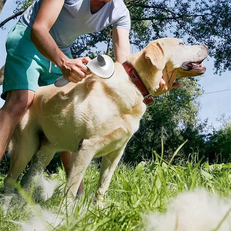 Self-Cleaning Pet Grooming Brush for Dogs & Cats Hair Removal
