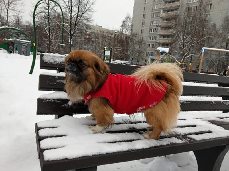 Warm Fleece Dog Jacket Vest With D-Ring | Pet Clothes For Small Dogs & Cats | French Bulldog Chihuahua Coat