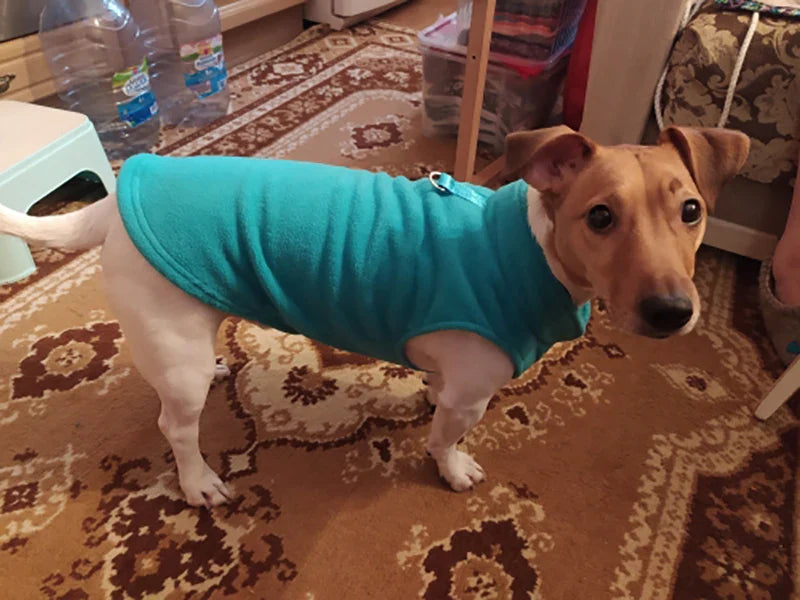 Warm Fleece Dog Jacket Vest With D-Ring | Pet Clothes For Small Dogs & Cats | French Bulldog Chihuahua Coat