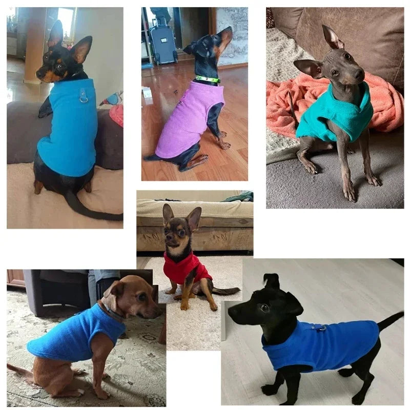 Warm Fleece Dog Jacket Vest With D-Ring | Pet Clothes For Small Dogs & Cats | French Bulldog Chihuahua Coat