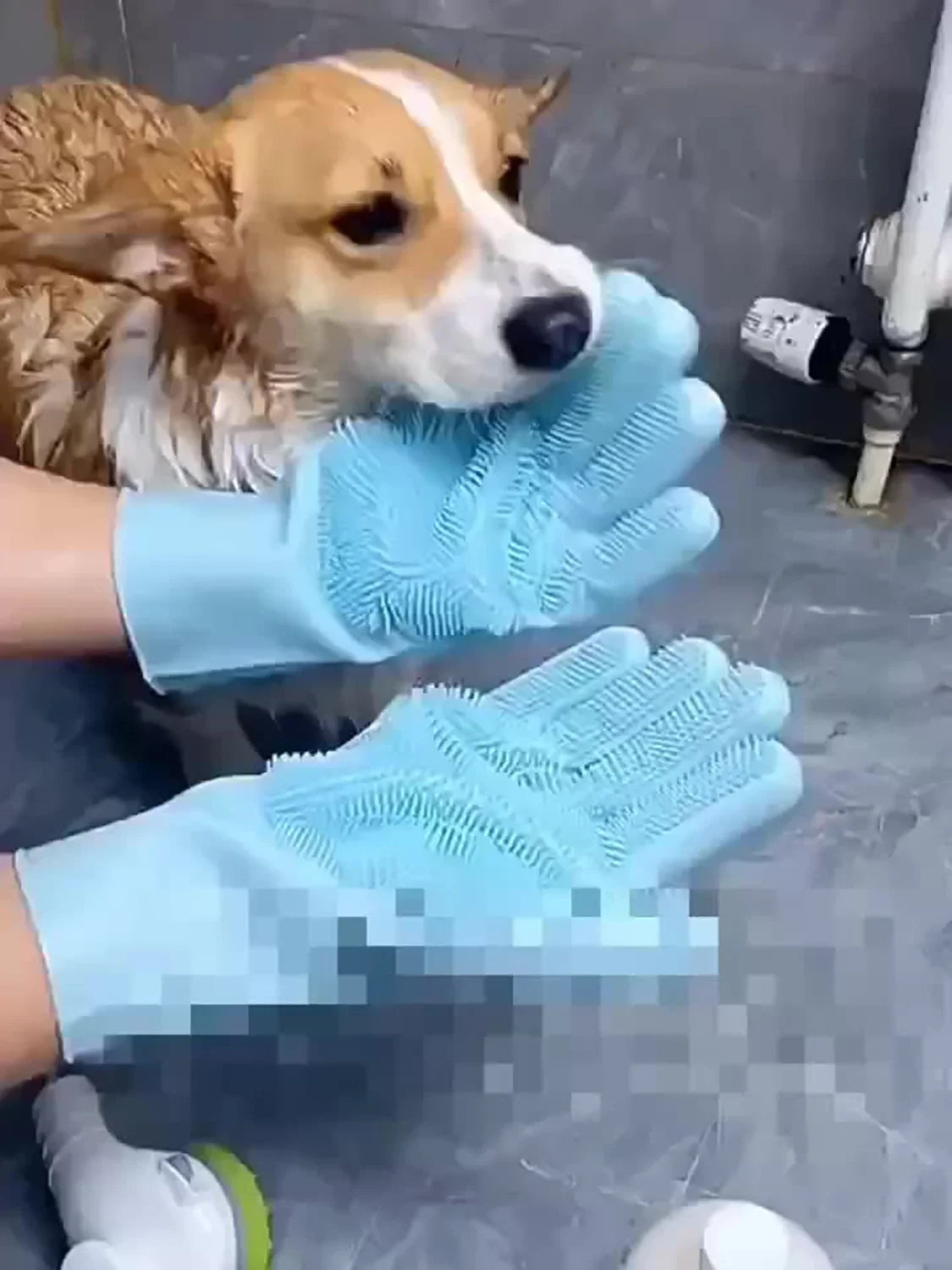 Silicone Pet Grooming & Bathing Gloves for Dogs and Cats Hair Removal