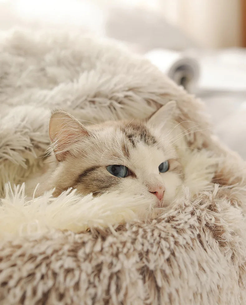 Autumn Winter Soft Plush Pet Bed — Semi-Enclosed Cat Nest | Warm Comforter Shell Cat House | Cozy Kitten & Small Dog Sleeping Nest