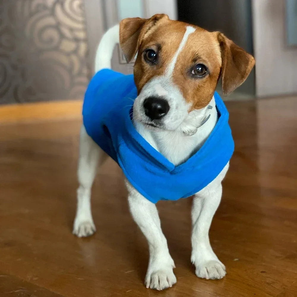 Warm Fleece Dog Jacket Vest With D-Ring | Pet Clothes For Small Dogs & Cats | French Bulldog Chihuahua Coat